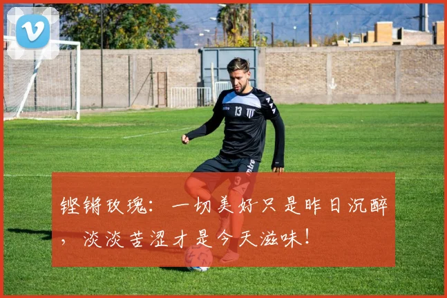 铿锵玫瑰：一切美好只是昨日沉醉，淡淡苦涩才是今天滋味！