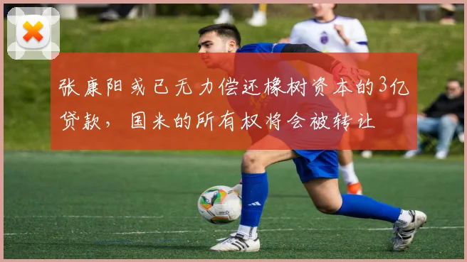 张康阳或已无力偿还橡树资本的3亿贷款，国米的所有权将会被转让