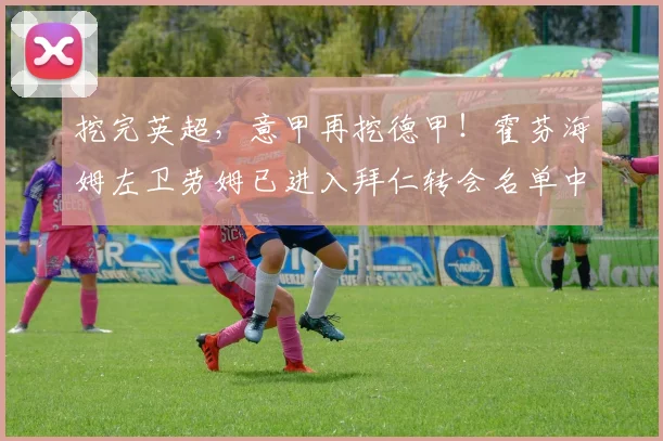 挖完英超，意甲再挖德甲！霍芬海姆左卫劳姆已进入拜仁转会名单中