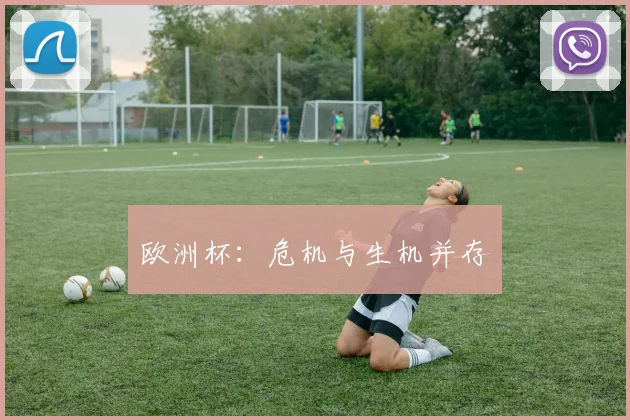 欧洲杯：危机与生机并存