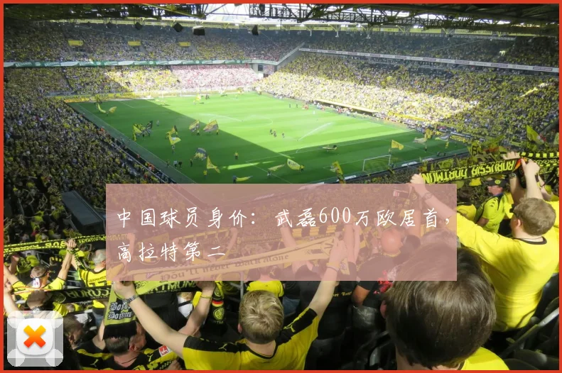 中国球员身价：武磊600万欧居首，高拉特第二