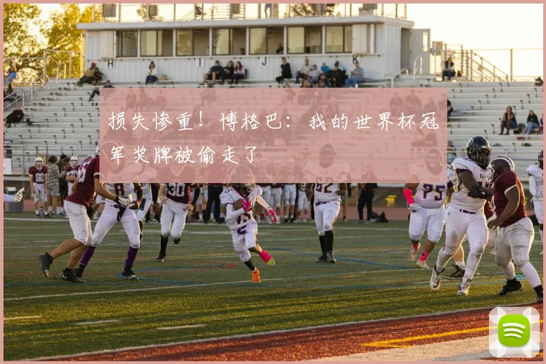 损失惨重！博格巴：我的世界杯冠军奖牌被偷走了