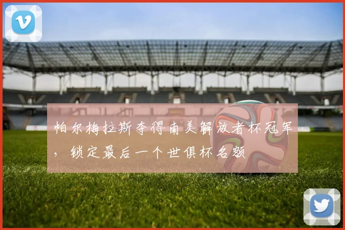 帕尔梅拉斯夺得南美解放者杯冠军，锁定最后一个世俱杯名额