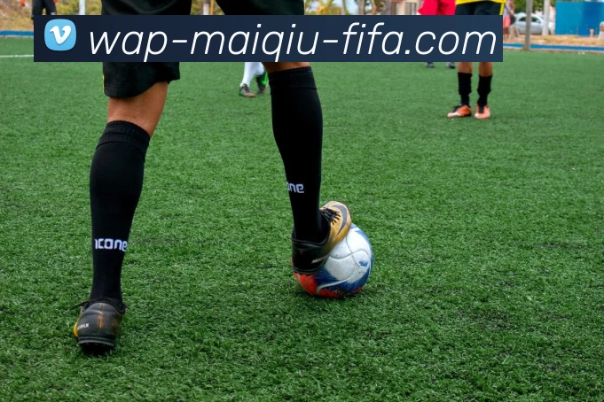 多媒体互动体验